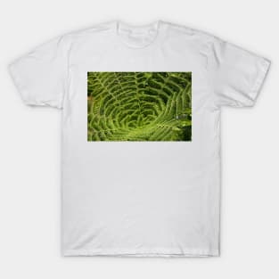 Coromandel Fern T-Shirt